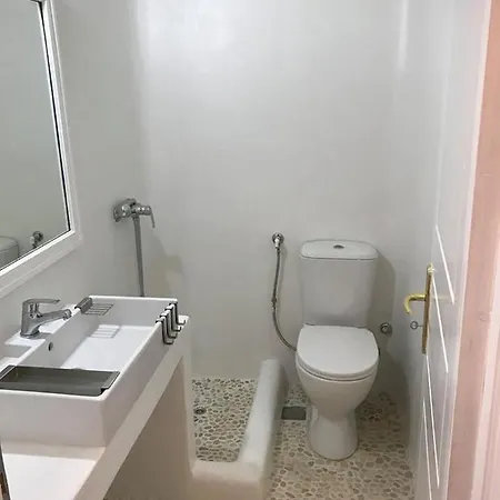 Mykonos Athanasia Seaview Oasis By The Port Apartamento *